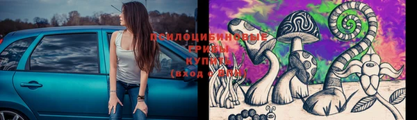 молекула духа Арсеньев