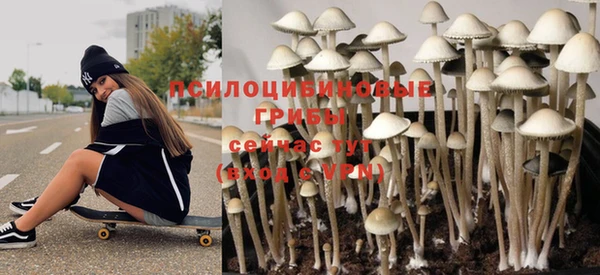 молекула духа Арсеньев