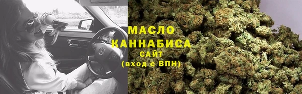 молекула духа Арсеньев